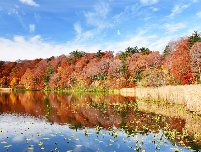 大沼公園