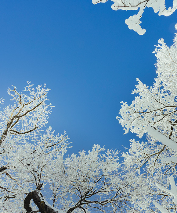 長白山國際度假區滑雪場