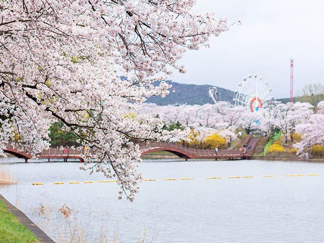 普門湖濱環湖步道