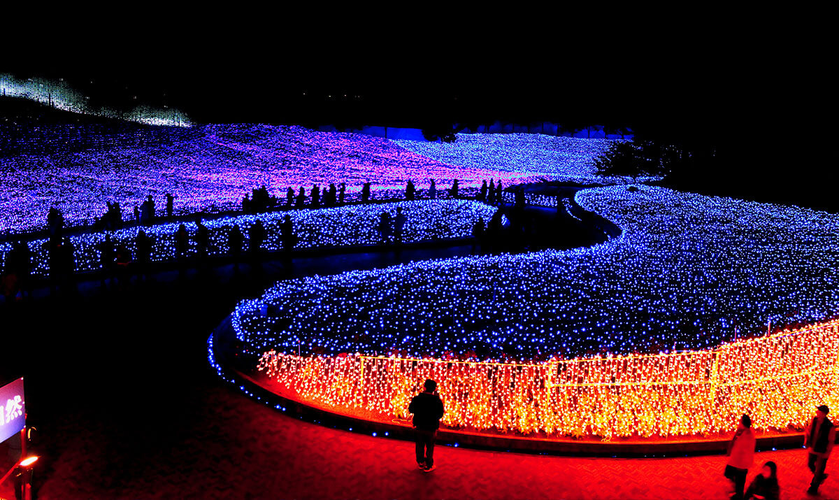 名花之里 冬華彩燈季夜景