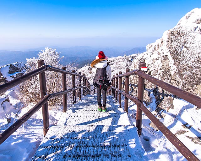 茂朱德裕山